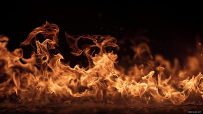 ¿Por qué debe quemarse el jélev (grasa) antes de que la ofrenda suba al Altar?